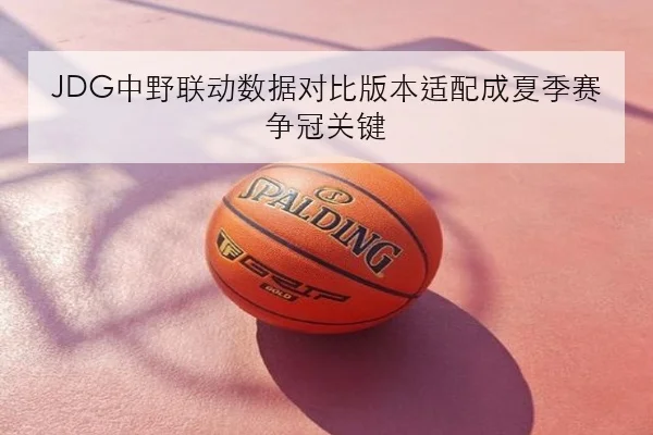 JDG中野联动数据对比版本适配成夏季赛争冠关键